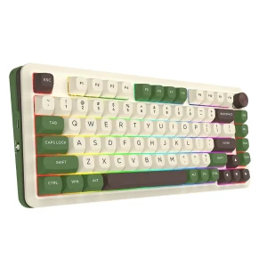 کیبورد بی سیم مکانیکال گیمینگ ردراگون مدل Cyrus PRO K681 CGC